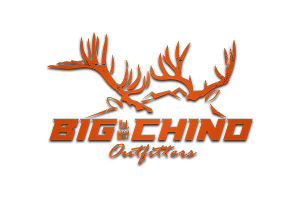 Logo Downloads