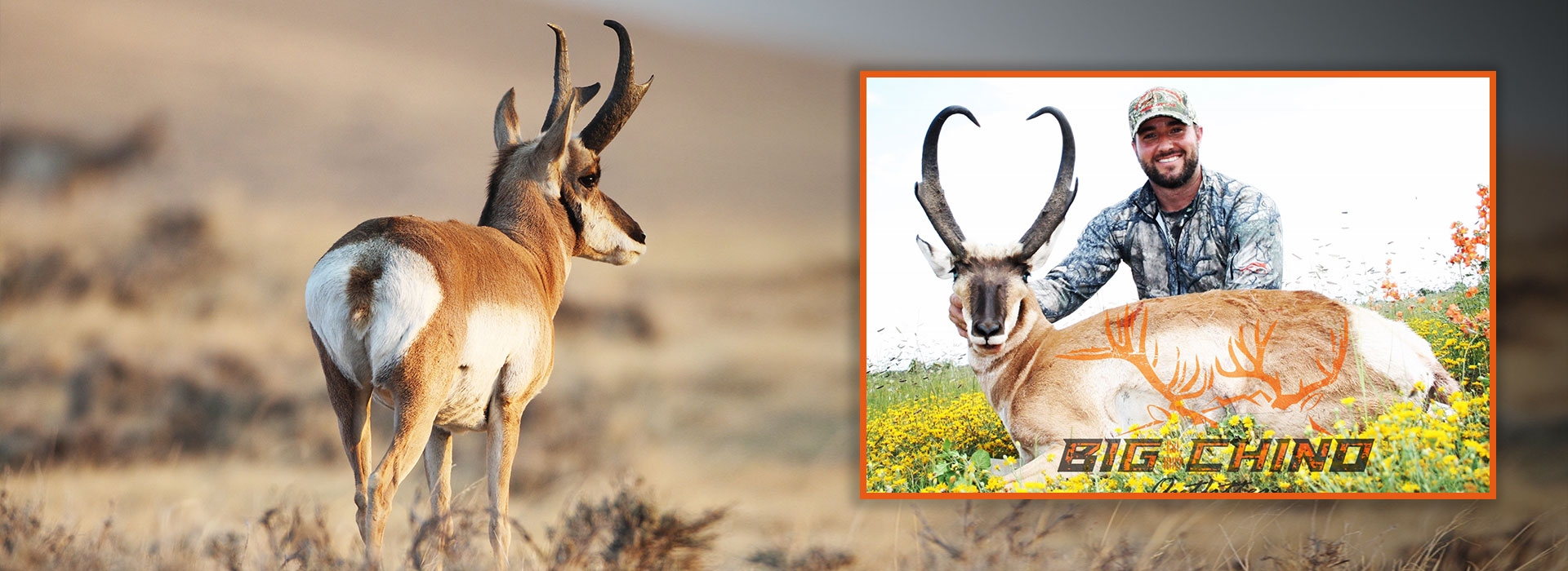 Trophy Antelope Hunting