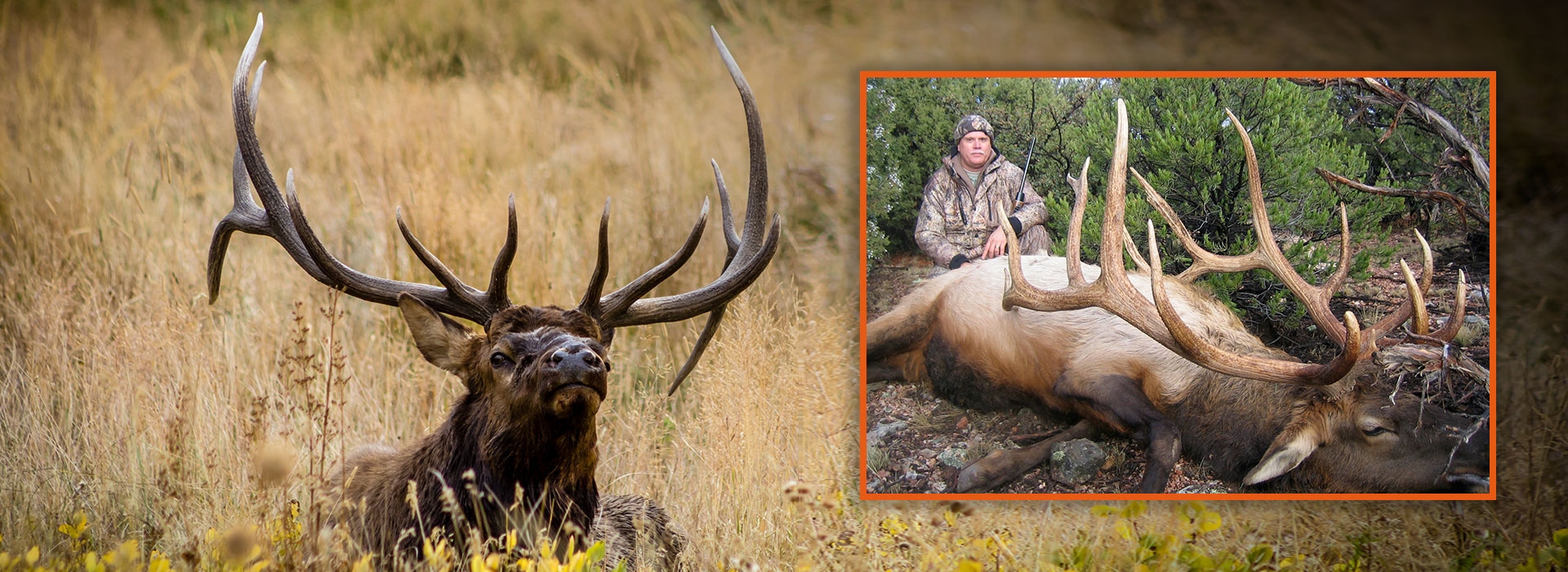 Elk Hunting Outfitter