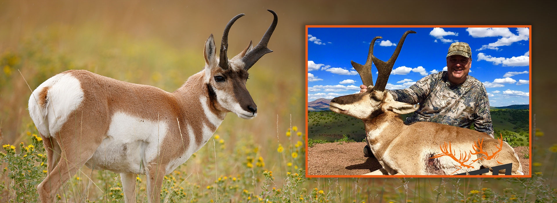 Trophy Antelope Hunts