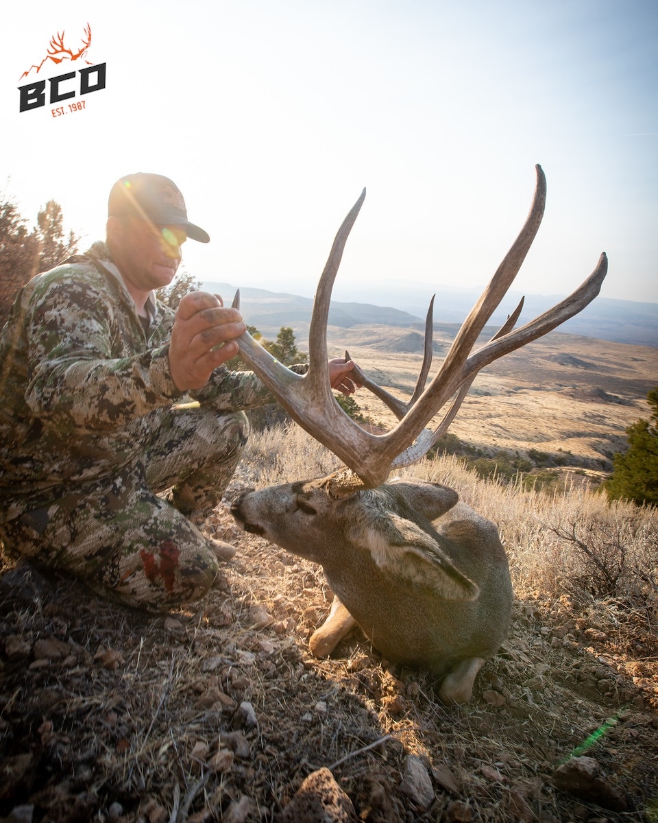Over The Counter Archery Mule Deer Hunts Arizona