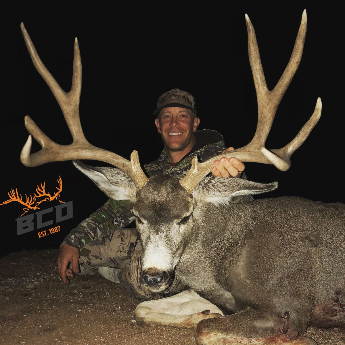 Guided Mule Deer Hunts Arizona