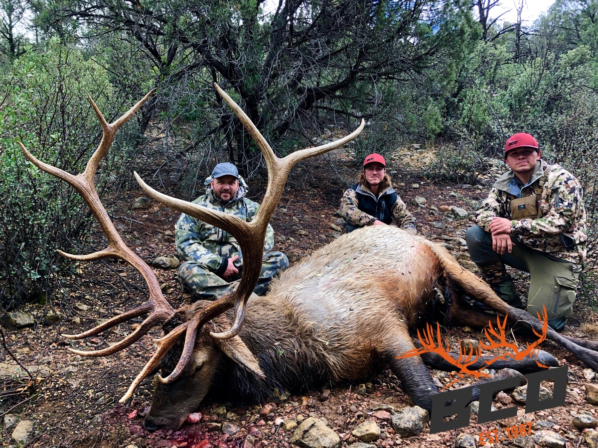 Arizona Elk Tag Application