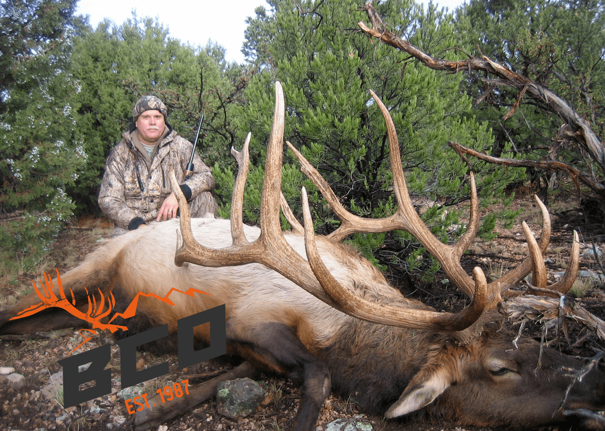 Arizona Trophy Elk