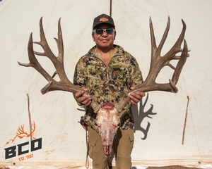 Mule Deer Photos