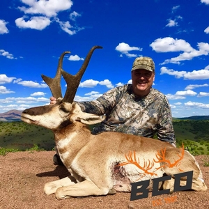 Antelope Photos