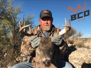 Coues Deer Photos